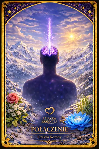 7 CZAKRA KORONY, medytacja, numerologia, hipnoza